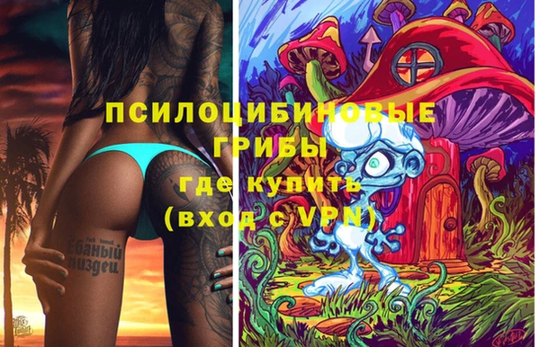 гидропоника Богородицк