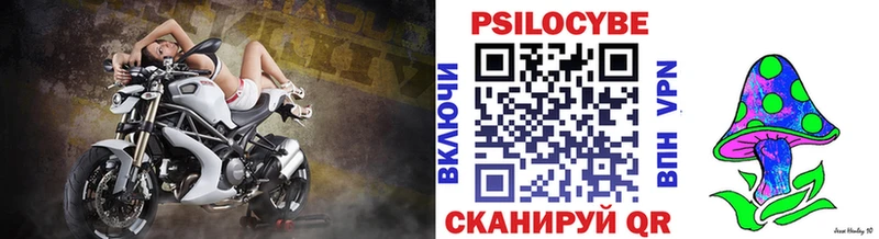 закладки  Велиж  мега   Псилоцибиновые грибы Psilocybe 